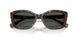 500387 - Brown - Grey