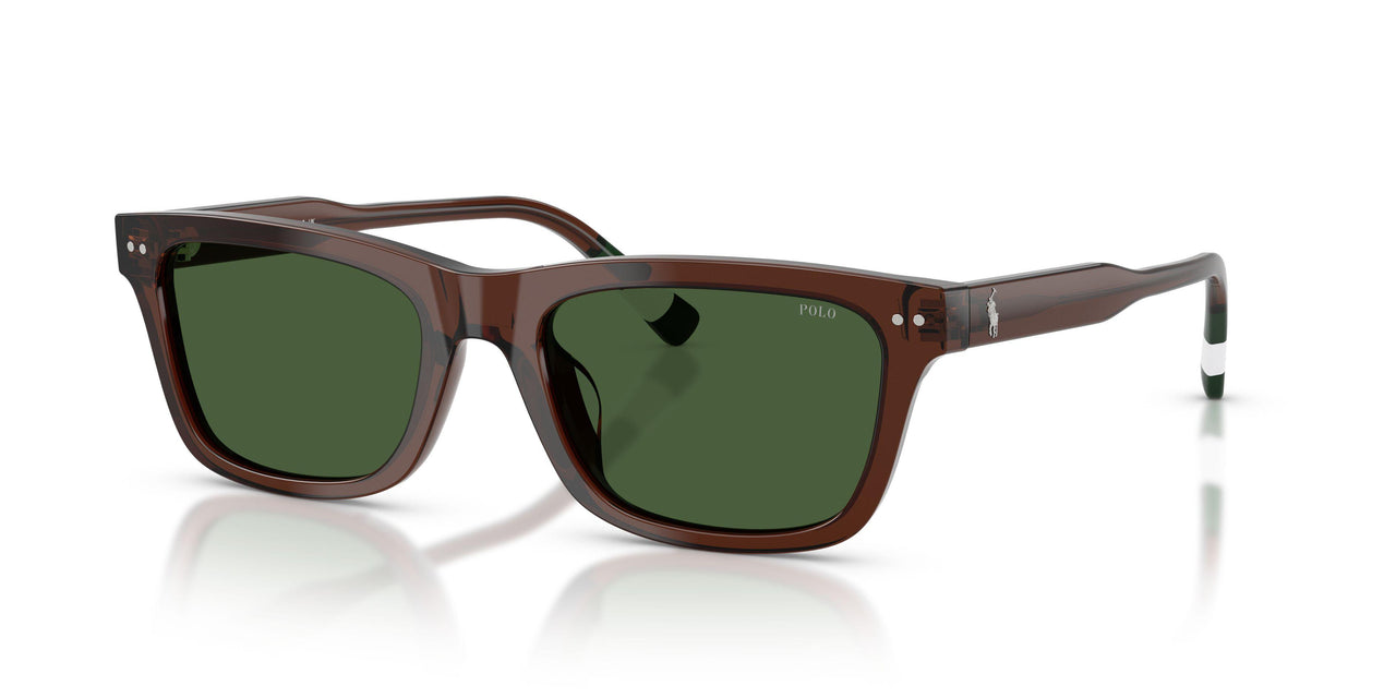 631571 - Brown - Dark Green