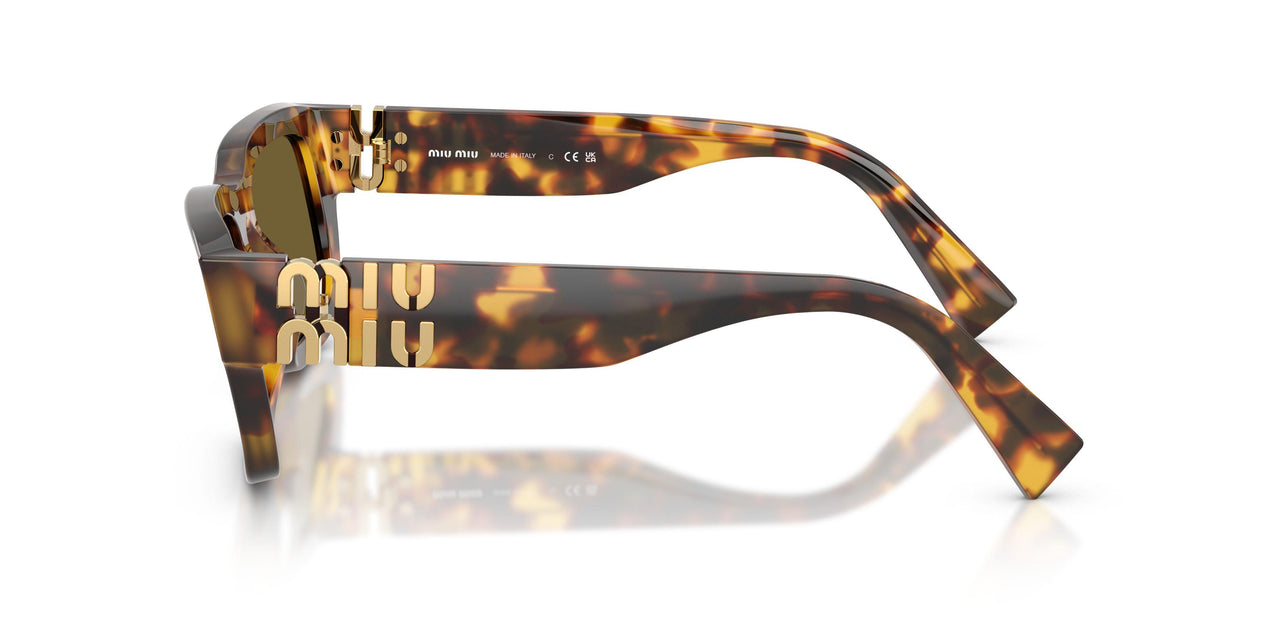 14L09Z - Tortoise - Dark Brown
