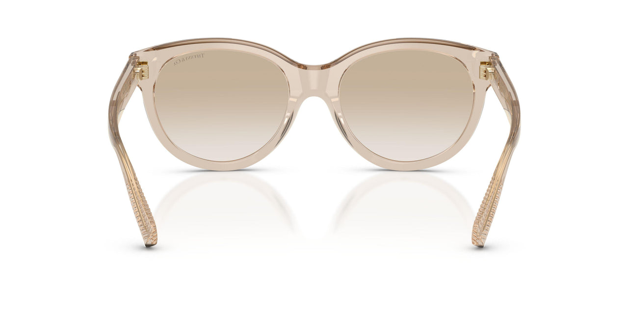 844511 - Brown - Neutral Gradient Light Grey