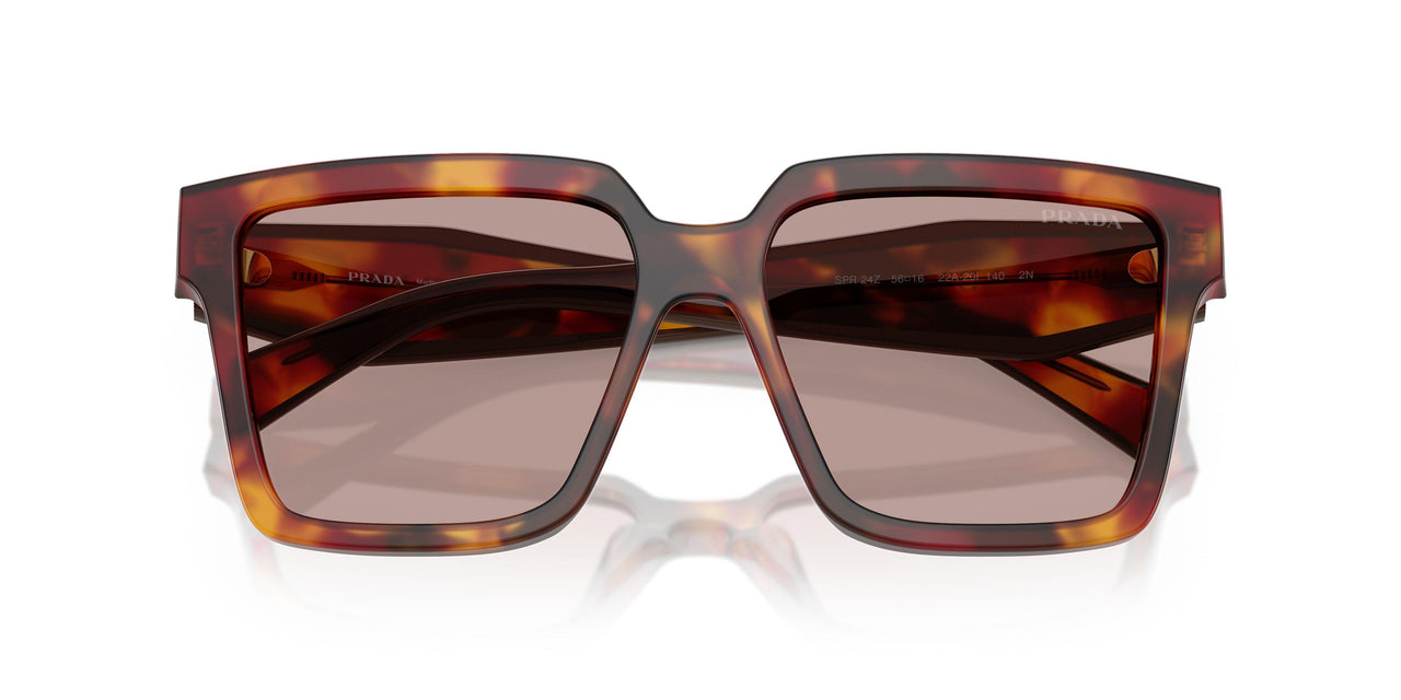 22A20I - Tortoise - Light Purple Brown