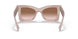 17C0A6 - Pink - Brown Gradient