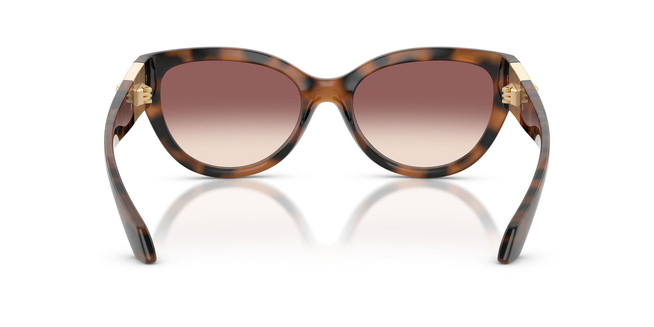 526420 - Brown - Pink Gradient Violet