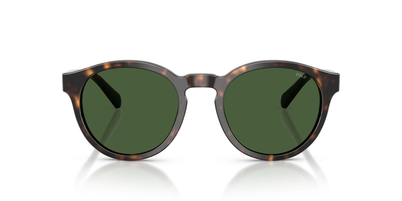 500371 - Tortoise - Bottle Green