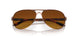 407914 - Rose Gold - Brown Gradient Polar