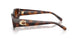 512074 - Tortoise - Brown Gradient