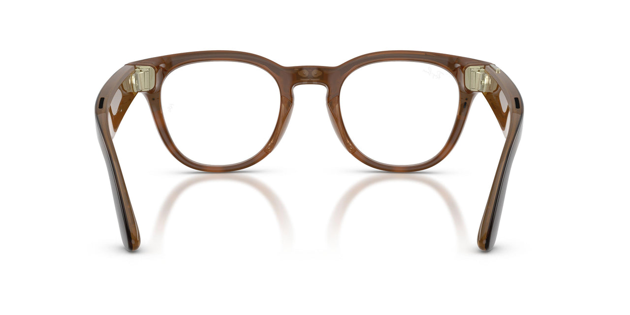 8528 - Tortoise
