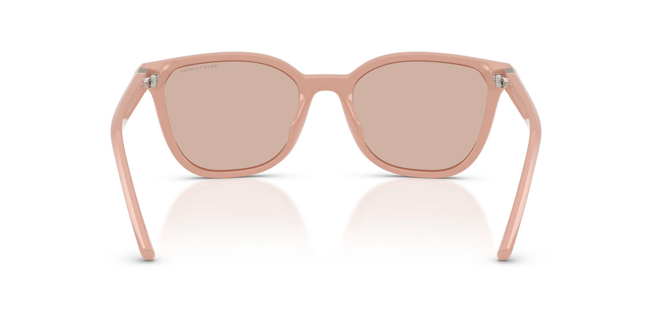840173 - Brown - Light Brown