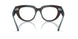8366 - Brown - Clear