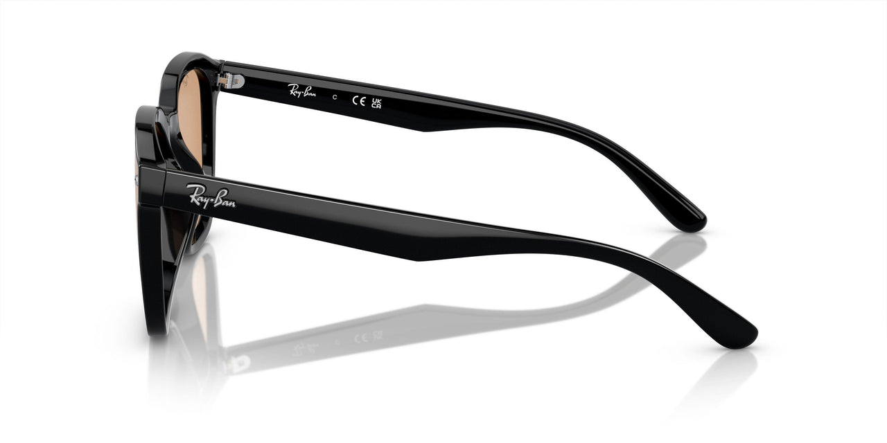 601/93 - Black - Brown