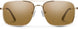 2081113YG57HB - Polarized Brown