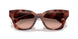 577413 - Tortoise - Brown Pink Gradient