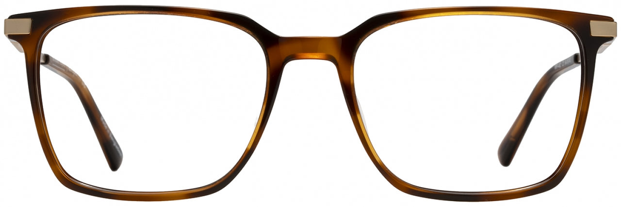 3 - Tortoise / Gold