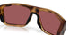 911609 - Tortoise - Gold Mirror
