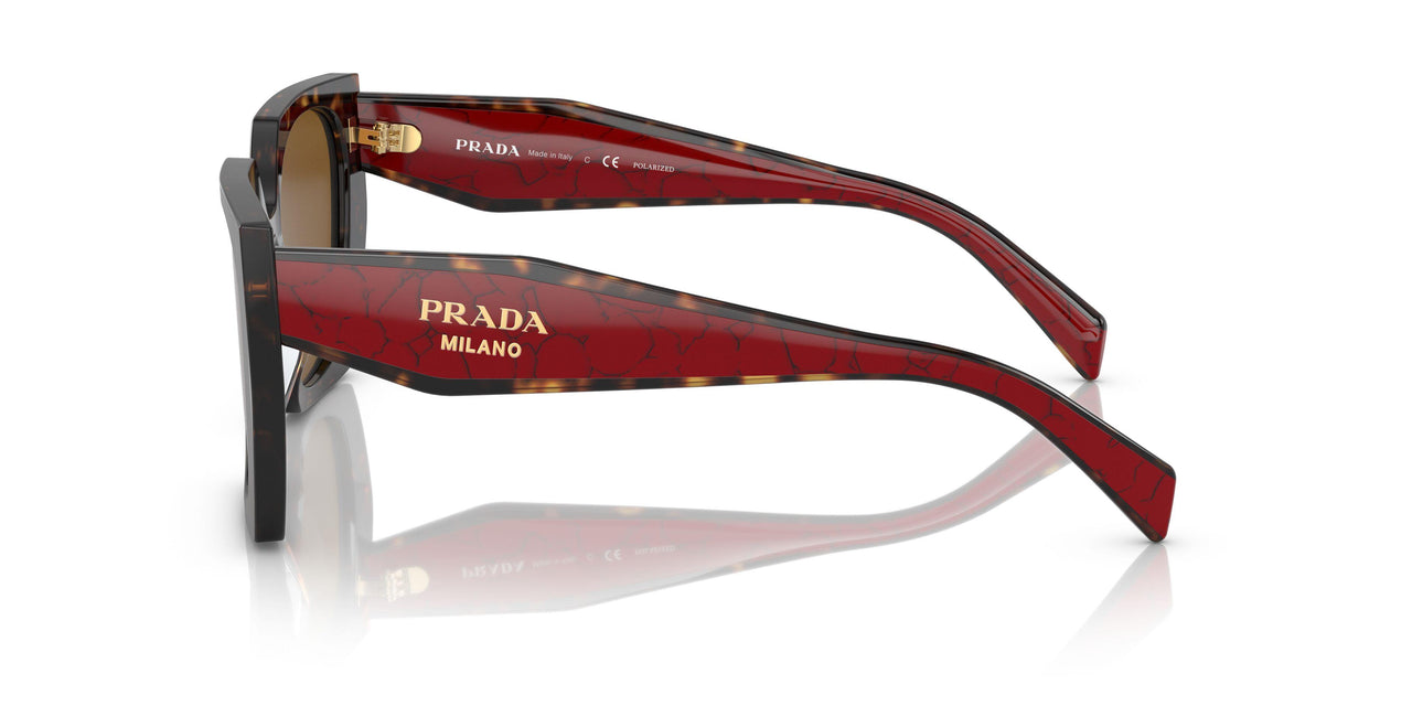 2AU5Y1 - Havana - Dark Brown Polar