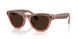 6778M4 - Pink - Clear/brown