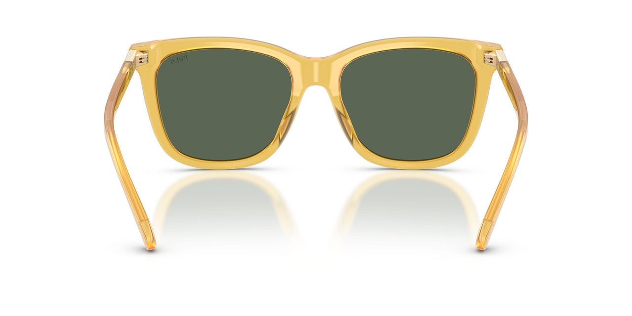 500571 - Yellow - Green