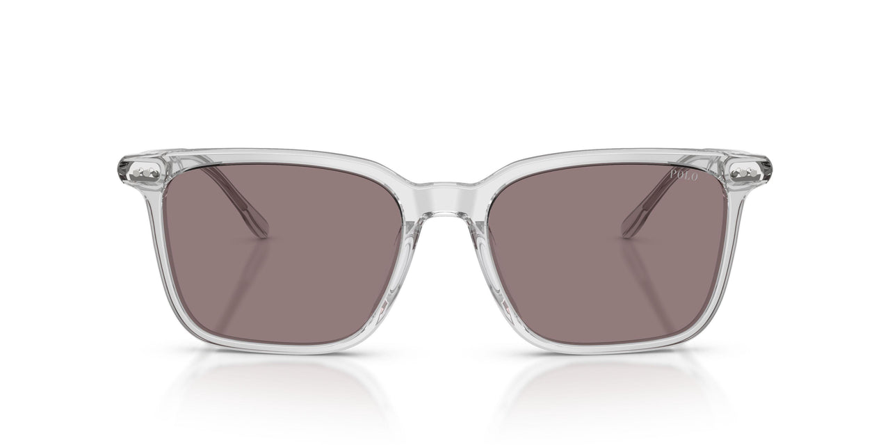 59587N - Grey - Dark Purple