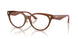 5508 - Brown