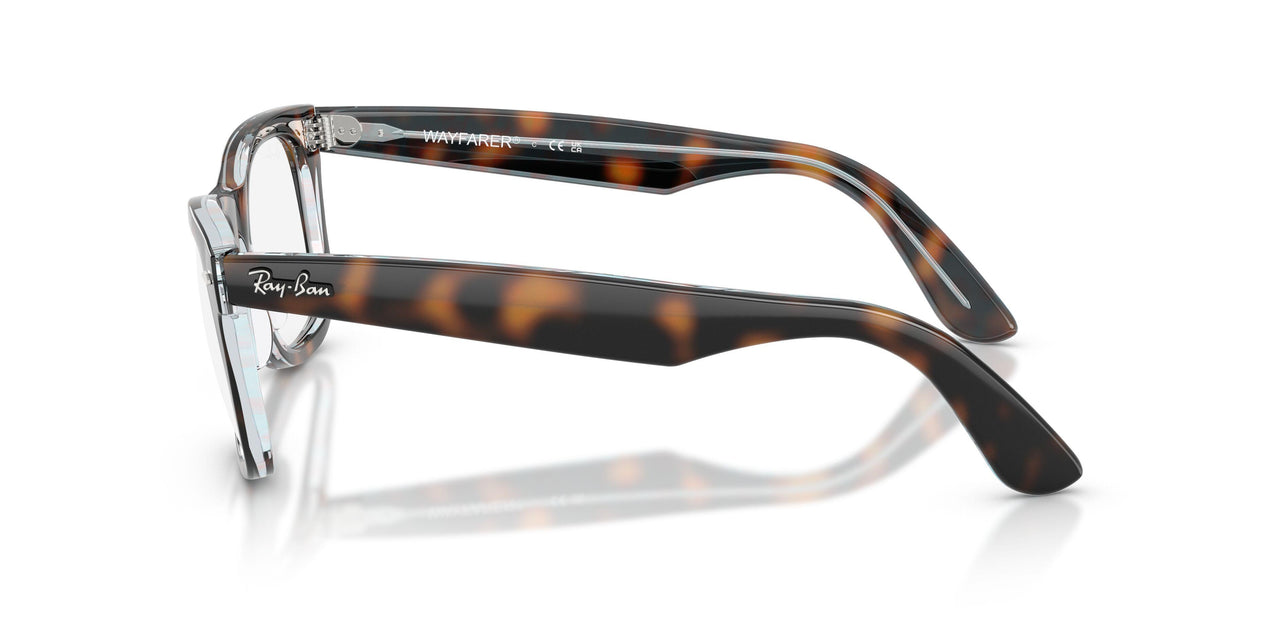 8401 - Tortoise - Clear