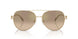 94766Y - Gold - Brown Gradient Grey Mirror Gold