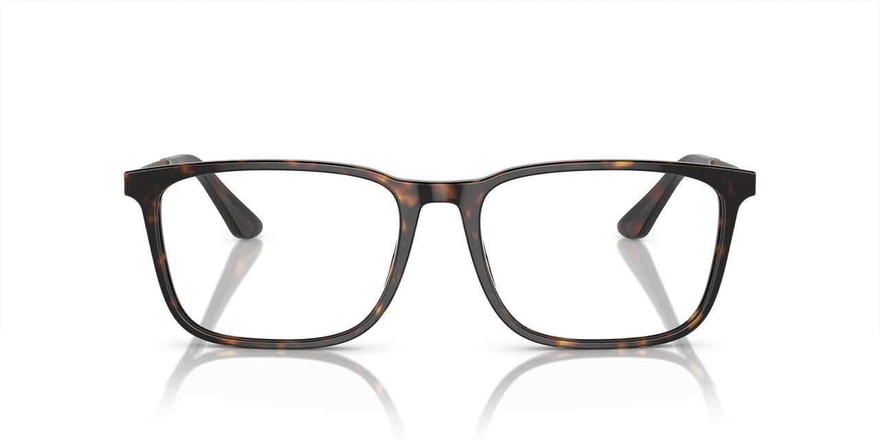5026 - Tortoise