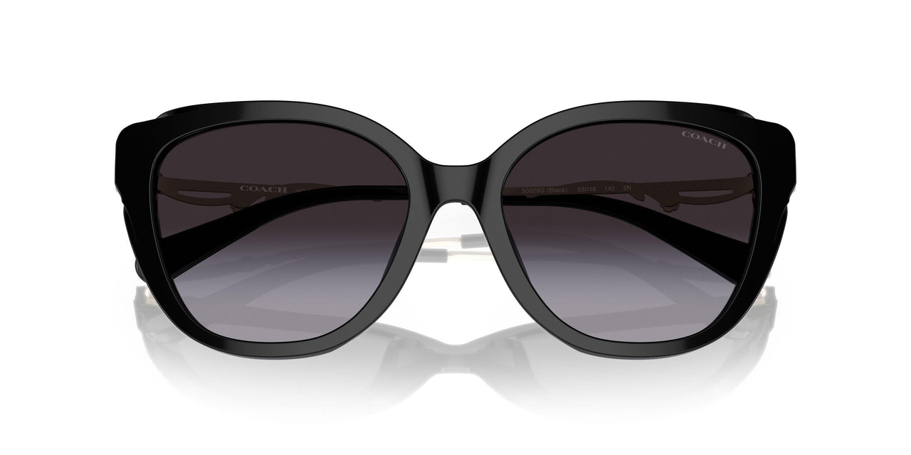 50028G - Black - Grey Gradient