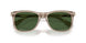 620171 - Brown - Bottle Green