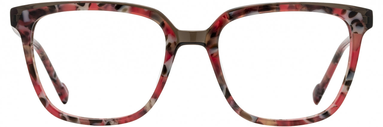 2 - Blush Tortoise