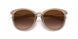 101413 - Brown - Brown Gradient
