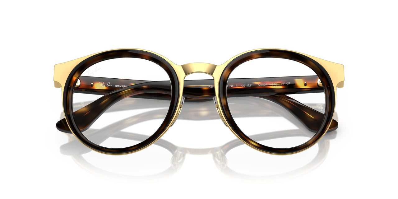 001/M1 - Tortoise - Clear/green