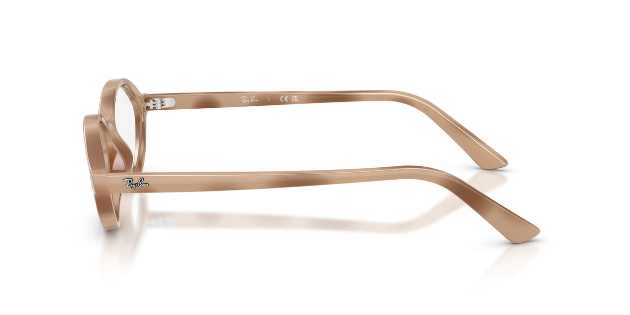 8491 - Tortoise - Clear
