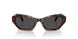 100287 - Tortoise - Dark Grey