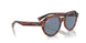 954/62 - Brown - Blue