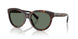 Tiffany 4271F Sunglasses