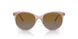 2942T5 - Pink - Grey Gradient Brown Polar