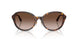 500213 - Tortoise - Gradient Brown