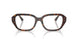 8320 - Tortoise - Clear