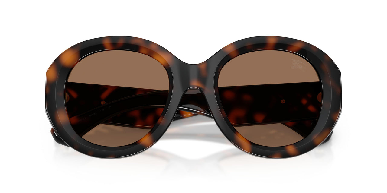 300273 - Tortoise - Brown