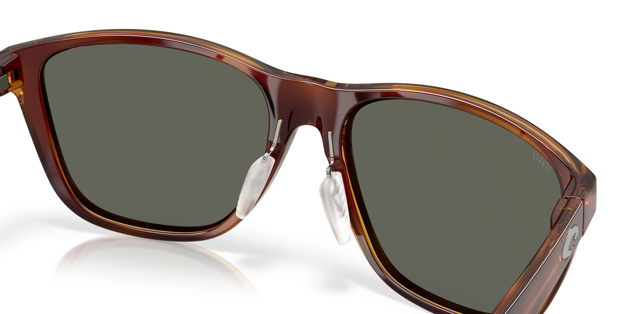 912406 - Tortoise - Gray