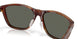 912406 - Tortoise - Gray
