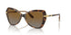 1508T5 - Havana - Polar Grey Gradient Brown
