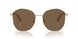 110973 - Gold - Dark Brown