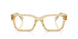11T1O1 - Brown