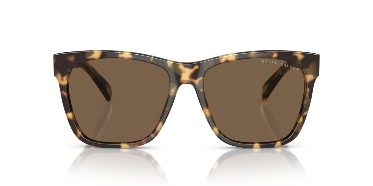 500473 - Tortoise - Brown
