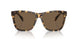 500473 - Tortoise - Brown