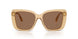 416773 - Beige - Dark Brown