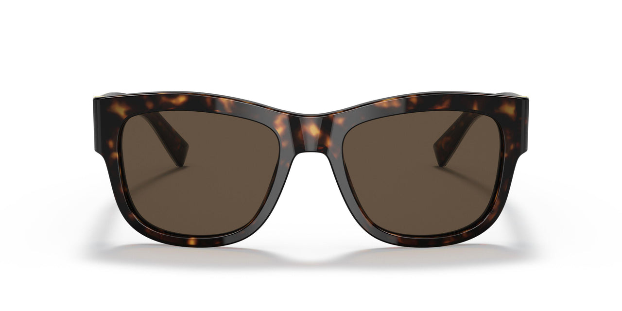 502/73 - Havana - Dark Brown
