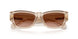 84453B - Brown - Brown Gradient