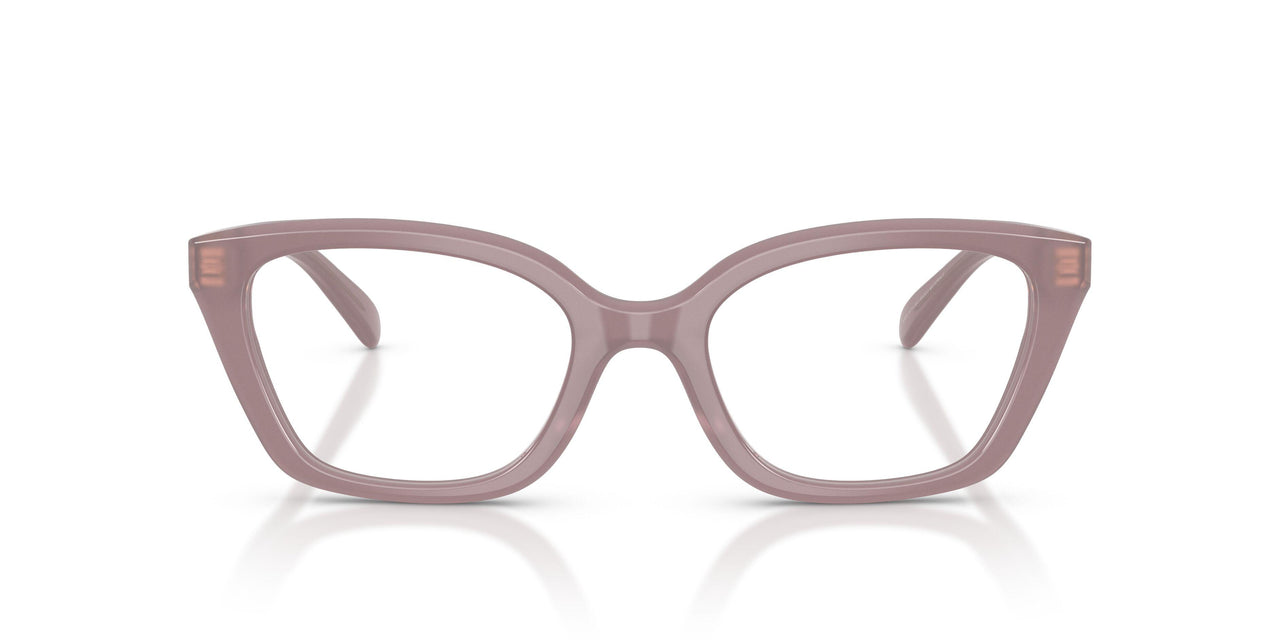 5495 - Brown